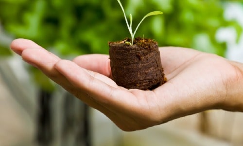 cuidado-del-medio-ambiente-1-ts1520388705